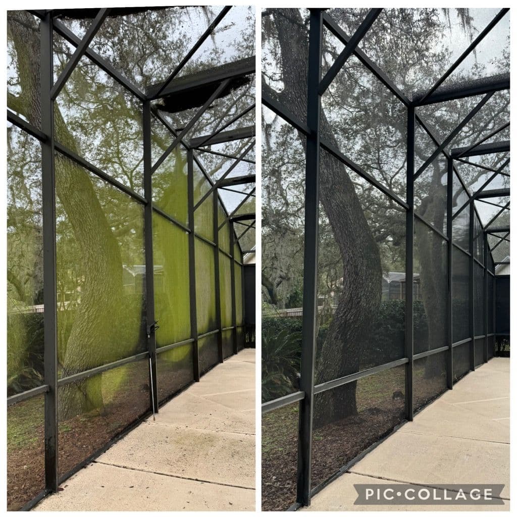 Screen Enclosure Cleaning in Sanford FL Goes from Green to Clean image